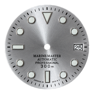 Silver dial