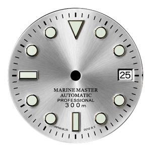 Silver dial