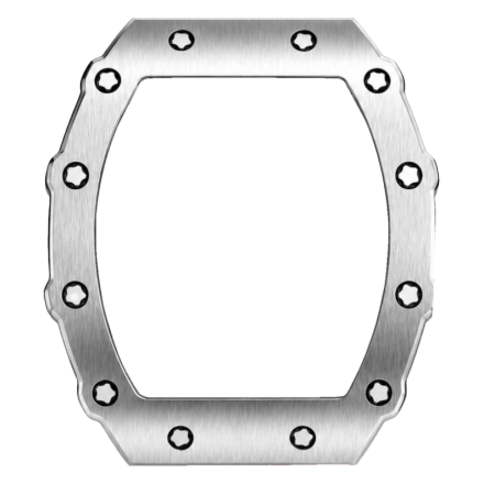 Case silver
